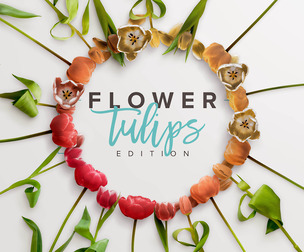 Fully Editable Red Tulip Scene, Multi-Layered PSD Mockup, Spring Flowers, Petals