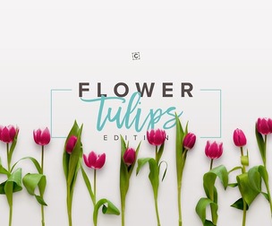 Fully Editable Red Tulip Scene, Multi-Layered PSD Mockup, Spring Flowers, Petals