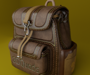 Leather Back Bag