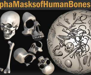 180 Human Bone & Fossil Alpha Masks for ZBrush Skull, Anatomy & Skeletal Details – Vol.01