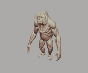 Orangutan