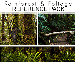 NZ Ref Pack Rainforest - 400+ Royalty Free Photos