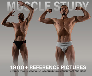 800+ Muscle Study Poses Reference Pictures
