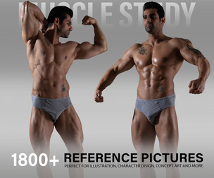 1800+ Male Muscle Study Poses Reference Pictures. No ai