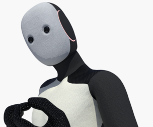 Humanoid Robot