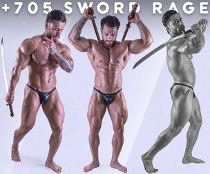 +705 Sword Rage Image References - Vol 24