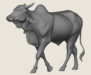 Indian Ox Print Ready 3D Model