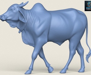 Indian Ox Print Ready 3D Model