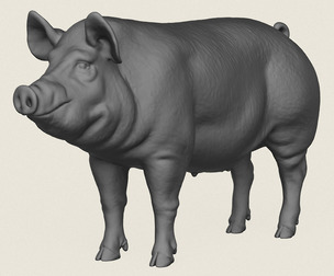 Pig Print Ready 3D Model