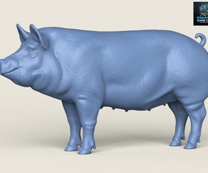 Pig Print Ready 3D Model