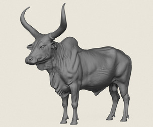 Indian Bull Print Ready 3D Model