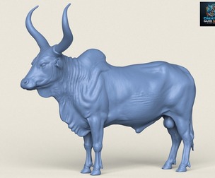 Indian Bull Print Ready 3D Model