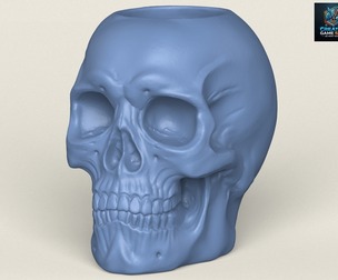 Skull Plant Pot