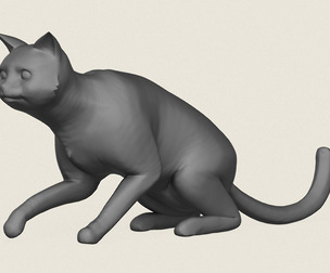 Cat Sitting Pose