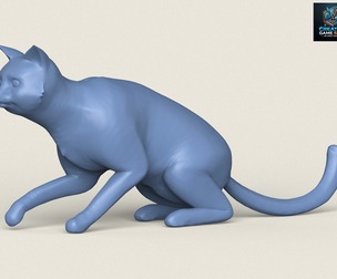 Cat Sitting Pose