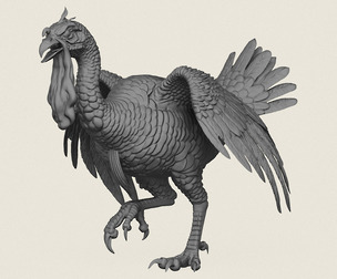 Angry Turkey Bird