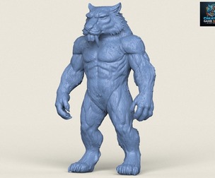 Lion Man Character