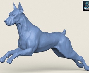 Doberman Dog Running