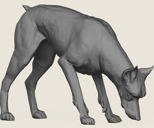 Doberman Dog Eating