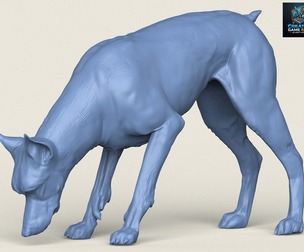 Doberman Dog Eating