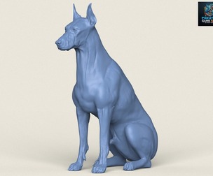 Doberman Dog Sitting
