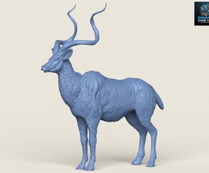 Kudu Antelope Animal