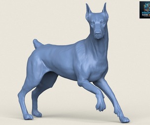 Doberman Dog Friendly Pose