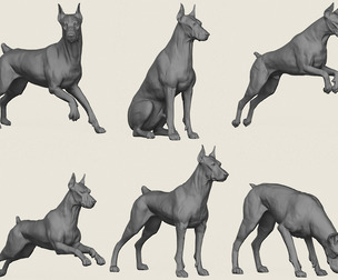 Doberman Dog Pose Collection