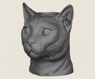 Cat Face Vase