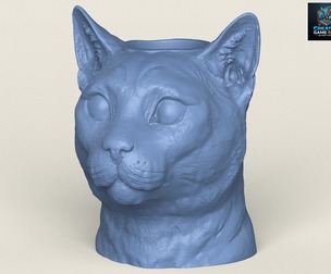 Cat Face Vase