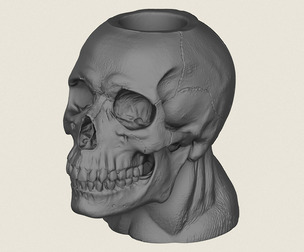 Human Skull Pot