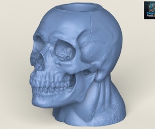 Human Skull Pot