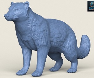 Wild Badger Animal