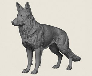 German Shepherd Dog