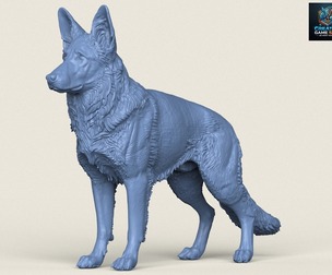 German Shepherd Dog