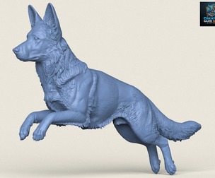 German Shepherd Dog Jumping