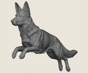 German Shepherd Dog Jumping