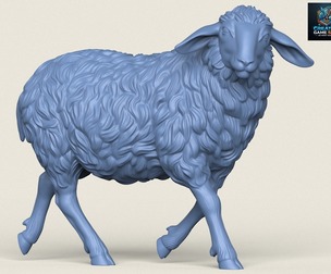 Sheep Walking