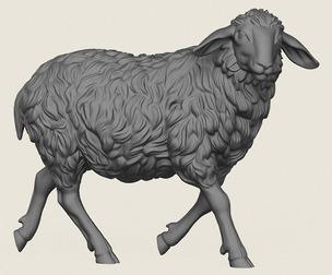Sheep Walking