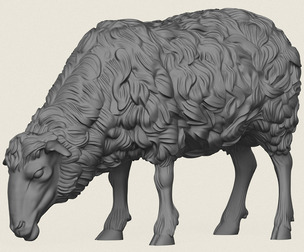 Sheep Eating
