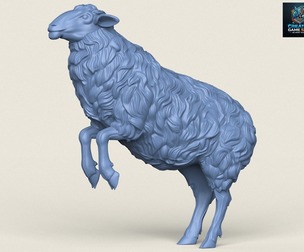 Sheep Jumping
