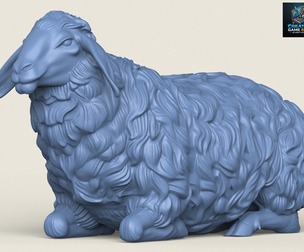 Sheep Sitting