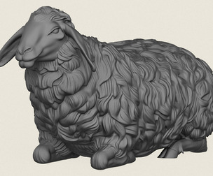 Sheep Sitting