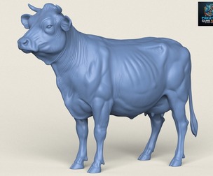 Cow Standing
