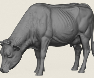 Cow Eating