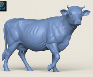 Cow Walking