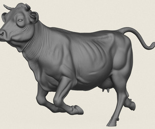 Cow Running