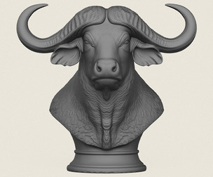 Wild Buffalo Bust