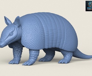 Armadillo