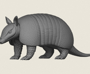 Armadillo
